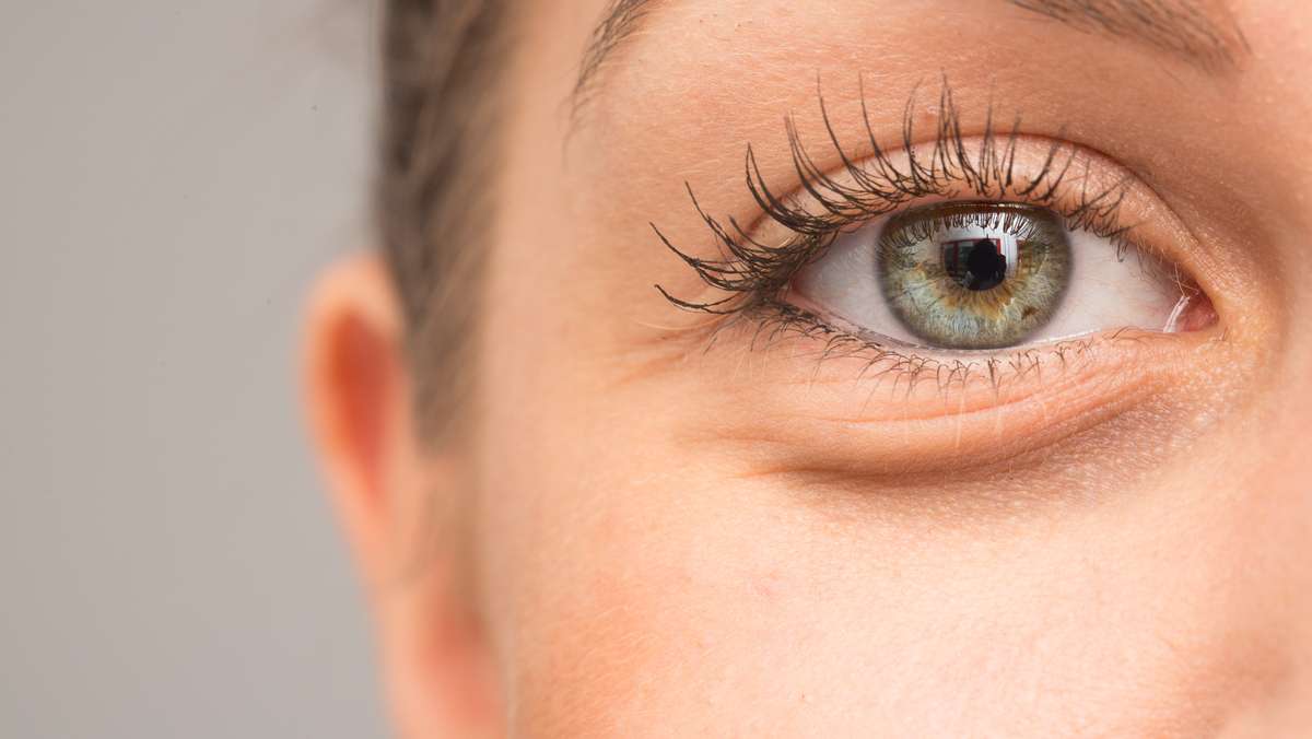 media.media.81efb929-ad03-4f8b-92c1-e846f84e3077.16x9_1024